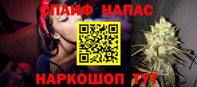 стафф Новокубанск