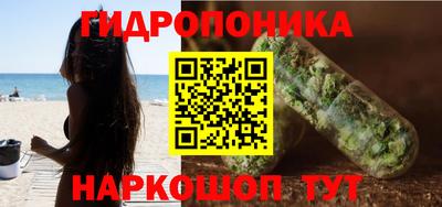 прущие крисы Новозыбков
