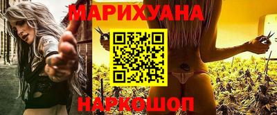 прущие крисы Новозыбков